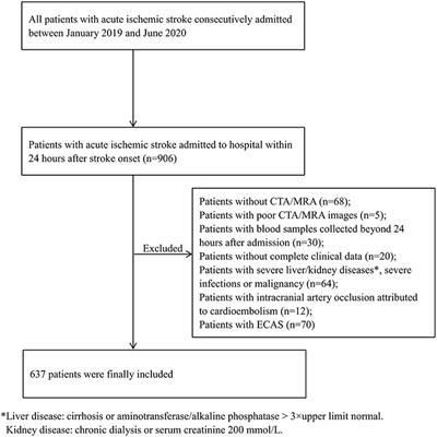 Association between serum transthyretin and intracranial atherosclerosis in patients with acute ischemic stroke